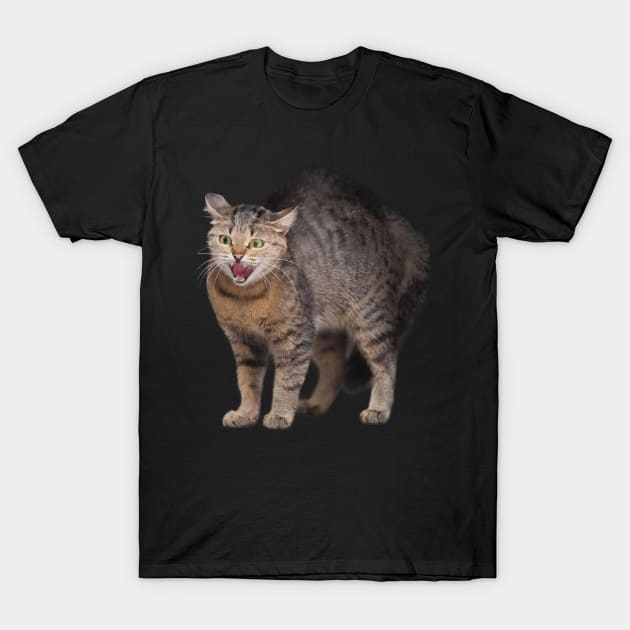 Bad Cat T-Shirt by anacarminda